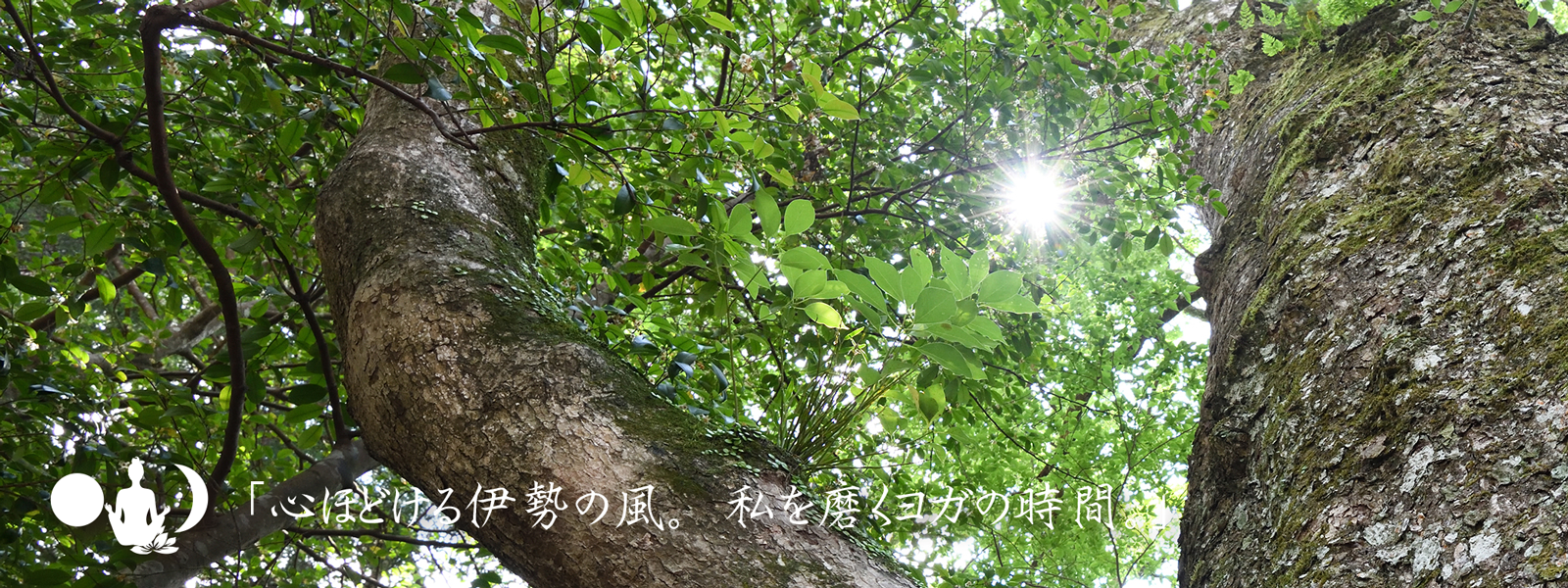 img20250714152822208600.png